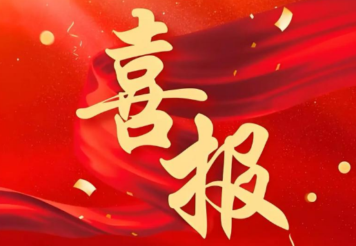 喜訊：我司榮獲“2024年度中國(guó)標(biāo)簽印刷前50名企業(yè)”